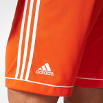 Pánské šortky Squadra 17 ADIDAS