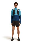 Pánská merino mikina ICEBREAKER Mens 200 Realfleece Descender LS Half Zip, Arctic/Atlantis/Cb velikost: L
