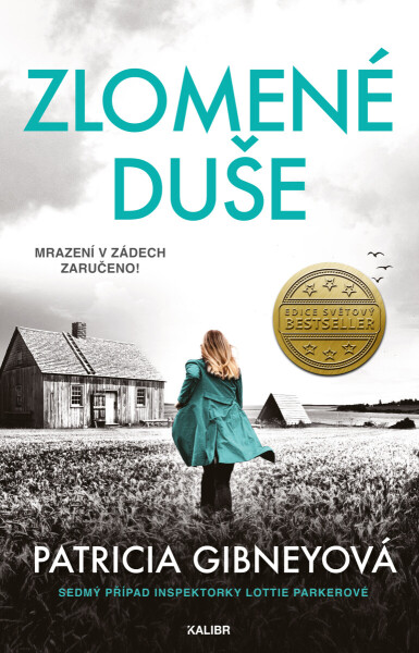 Inspektorka Lottie Parkerová 7: Zlomené duše - Patricia Gibneyová