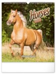 Kalendář 2024 nástěnný: Koně, 30 × 34 cm