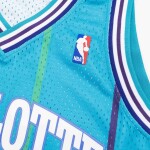 Mitchell & Ness Pánský dres Charlotte Hornets NBA Alonzo Mourning #33 1992-93 Swingman Velikost: L
