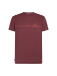 Pánské merino triko krátký rukáv ICEBREAKER Mens Merino 150 Tech Lite SS Tee Range Stripes, Port velikost: XXL