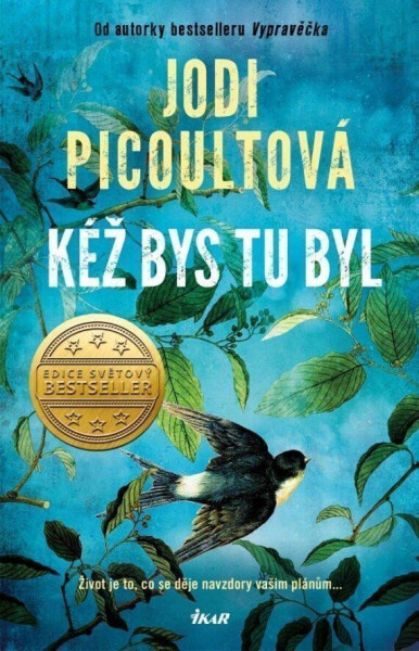 Kéž bys tu byl (poškozená) - Jodi Picoultová