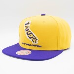 Mitchell & Ness Pánská kšiltovka Los Angeles Lakers NBA California Insider Snapback