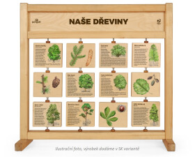 Tabuľky poznania stolné - Naše dreviny SK