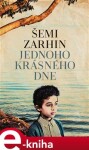 Jednoho krásného dne - Šemi Zarhin e-kniha