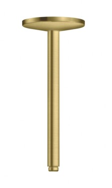 AXOR - One Sprchové rameno stropní, 30 cm, kartáčovaná mosaz 48495950