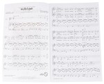 MS Leonard Cohen: Hallelujah (Shrek) - 2-Part