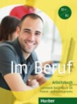 Im Beruf: Arbeitsbuch - Valeska Hagner