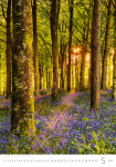 Nástěnný kalendář 2027 Helma Nature Emotions