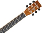 Tanglewood TRX8E