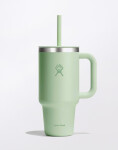 Hydro Flask Travel Tumbler (940 ml) Aloe