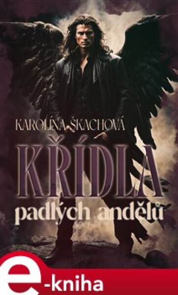 Křídla padlých andělů - Karolína Škachová e-kniha