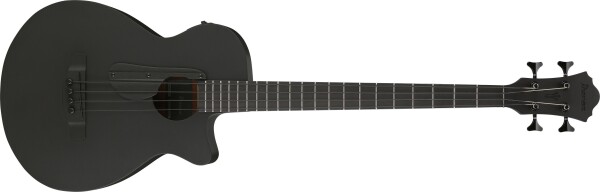 Ibanez AEGB420 BOT