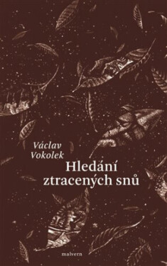 Hledání ztracených snů Václav Vokolek