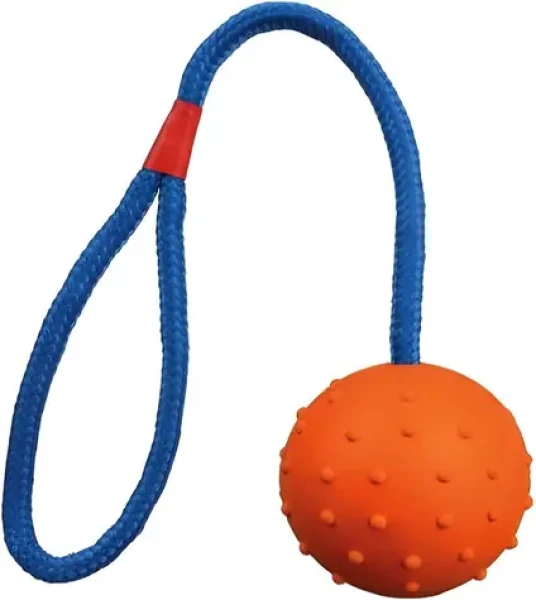 TRIXIE Hračka pro psy Vrhací míček na provázku / Guma / Průměr 6 cm / Délka 30 cm (4011905033051)