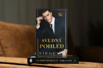 Svůdný pohled - Sara Cate