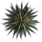 Watt & Veke Závěsná svítící hvězda Liz Green 50 cm, zelená barva, papír