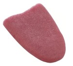 Dovoz Jazyk falešný