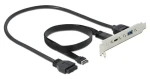 DeLock Slotová záslepka USB-C a USB-A černá / Adaptér do PC skříně / USB 3.2 Gen 2 / 0,5 m (89934)
