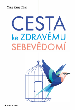 Cesta ke zdravému sebevědomí - Chan Kang Yong - e-kniha