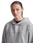 ICEBREAKER Wmns Merino 360 RealFleece Elemental LS Hood, Metro Heather (vzorek) velikost: S