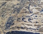 DumDekorace Vintage nadčasový koberec se vzorem Šířka: 200 cm | Délka: 290 cm