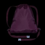 Bagmaster SÁČEK BETA 24 A školní na přezůvky / tělocvik – dalmatin