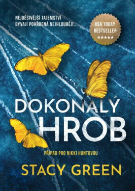 Dokonalý hrob (poškozená) - Stacy Green