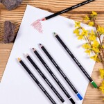 Staedtler Staedtler, 10820BK6-C, Lumocolor permanent, sada permanentních suchých popisovačů (pastelek), 6 ks