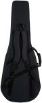 Takamine P4DC