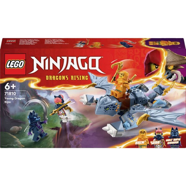 LEGO® NINJAGO® 71810 Riyu