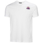 Helly Hansen Core Graphic T 2.0 M 54599 002 tričko m