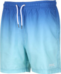 Pánské plavkové šortky Swim Short S model 18669771 - Regatta