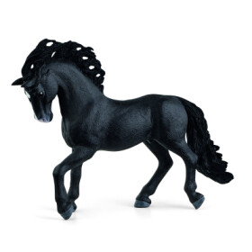 Zvířátko - hřebec andaluského koně