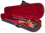 Violin Schönbach Inferno