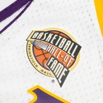 Mitchell & Ness Pánský dres Los Angeles Lakers NBA Pau Gasol #16 HOF 2001-19 Swingman Velikost: M