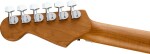 Charvel Pro-Mod Plus SD1 FR MN SNG