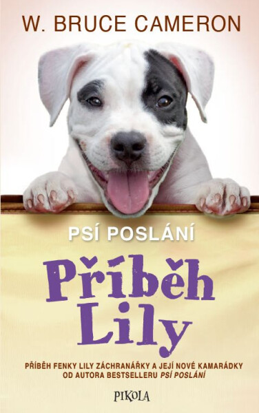 Příběh Lily - Bruce W. Cameron