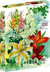 ENJOY Puzzle Vintage květinový katalog