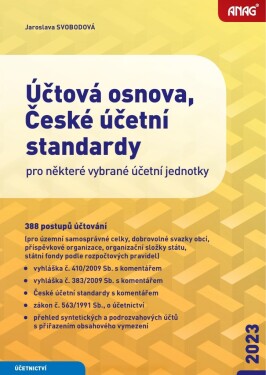 Účtová osnova, České účetní standardy