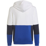 Mikina adidas Colourblock Hoodie Jr HG6826