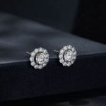 Luxusní stříbrné náušnice Evadne 0,5 ct MOISSANITE + CERTIFIKÁT, Stříbrná certifikát GRA, hadřík na čištění stříbra, dárková krabička
