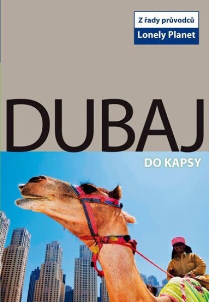 Dubaj do kapsy - Lonely Planet, 1. vydání - Olivia Pozzan