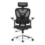 Kancelářská židle, synchronní mechanismus, černá síťovina, KA-B2363 BK
