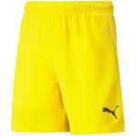 Dětské šortky TeamRise Short Jr 704943 07 - Puma 140cm