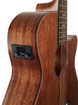 Ibanez AEG220S Natural