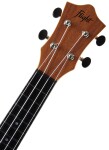 Flight TUS-55 Acacia