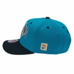 Mitchell & Ness Pánská kšiltovka Detroit Pistons NBA Team Arch Classic Red Stretch-Snap - Zelená