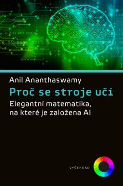 Proč se stroje učí - Anil Ananthaswamy - e-kniha